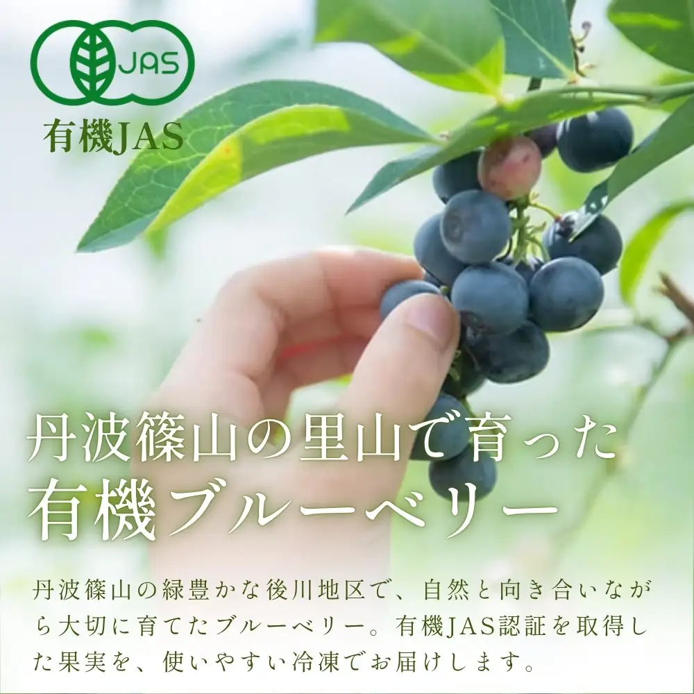 【予約数量限定】ブルーベリー 有機JAS認証 500g 冷凍 無農薬