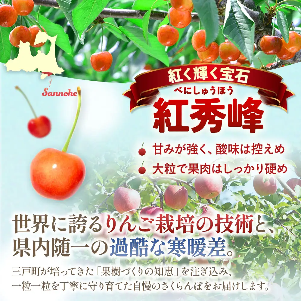 【訳あり】さくらんぼ【紅秀峰】約500g（M～Lサイズ）2026年6月下旬～