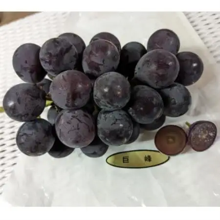 【毎週定期便】【種なし】巨峰2房+旬のぶどうの食べ比べ約2kgセット全4回【配送不可地域：離島】【4086731】