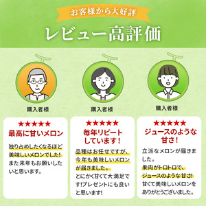メロン 先行 予約 青森 減農薬栽培メロン 1玉 糖度16度以上保証 減農薬 青肉 赤肉 青肉メロン 赤肉メロン フルーツ 果物 旬のフルーツ 旬の果物 旬 夏 レビュー 高評価 先行予約 2026 2026年 青森県