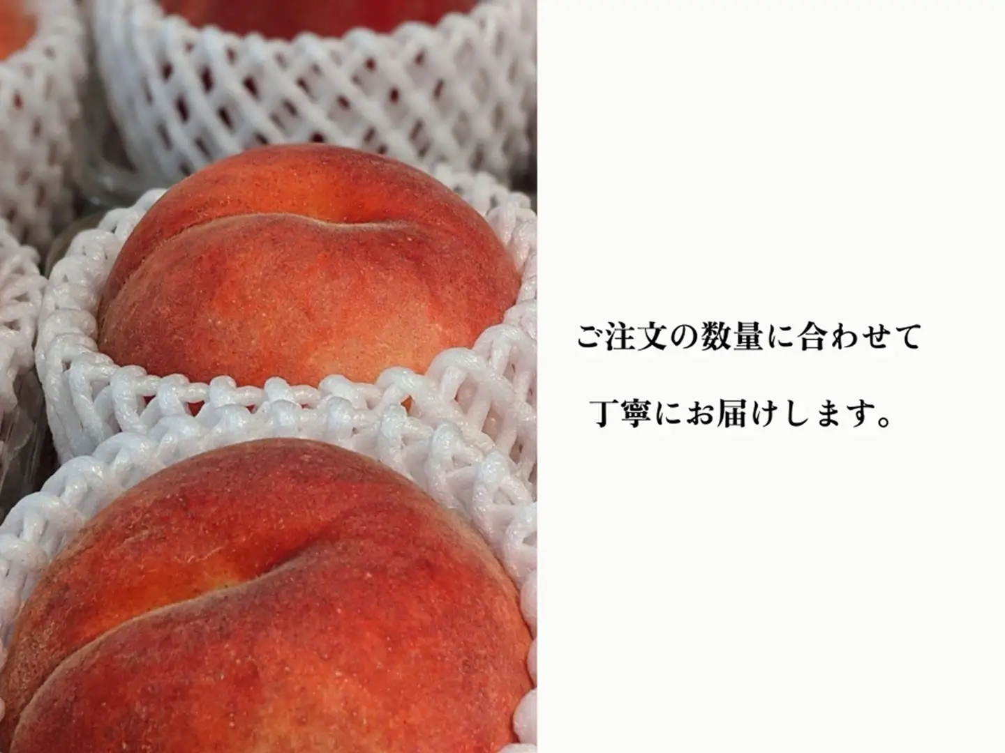 【じゅわ桃】トロッとやわらかめの桃好き必見！ 約2kg 約5~8玉 ALPDS026