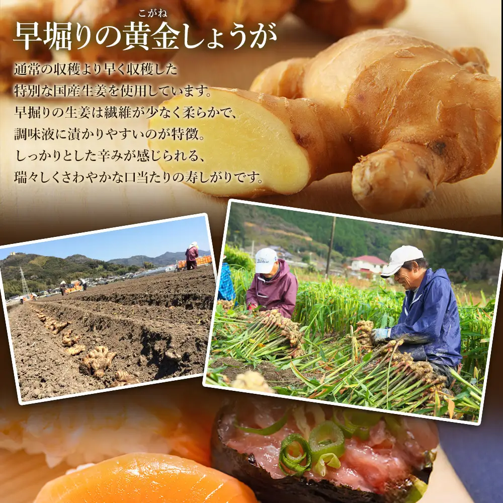 寿司ガリ 1kg がり Xnb-0011