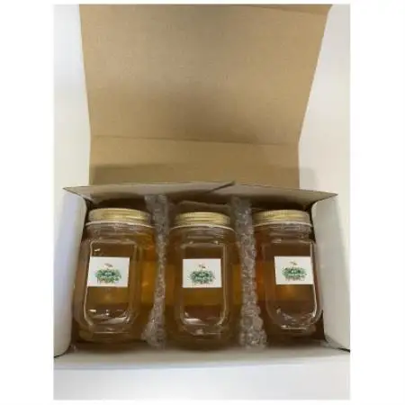 純粋坂戸はちみつ750g(250g×3個)【1743314】
