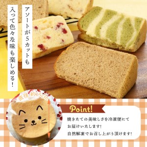 八ヶ岳シフォン　極ふわネコフォン（約15㎝）とカットシフォン5個セット　ケーキ シフォンケーキ アソート平飼地鶏卵 焼きたて バレンタイン チョコ以外 ホワイトデー お返し 人気 [h053]