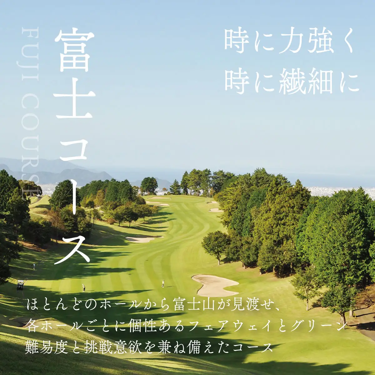 凾南ゴルフ倶楽部施設利用券(富士コース土日祝昼食付1名様)_ゴルフ 