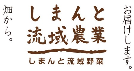桐島畑の季節野菜詰め合わせ（5種類）【栽培期間中、農薬・化学肥料不使用】 やさい 野菜 国産野菜 野菜セット 野菜詰め合わせ 季節 新鮮フレッシュ 旬 無農薬 産地直送／Fkh-A07