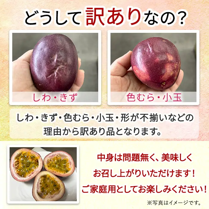 【0075303a】＜訳あり＞ゆきちゃん農園の家庭用パッションフルーツ(1.5kg以上) フルーツ 果物 果実 訳あり 美味しい 家庭用 期間限定 数量限定 国産 【ゆきちゃん農園】