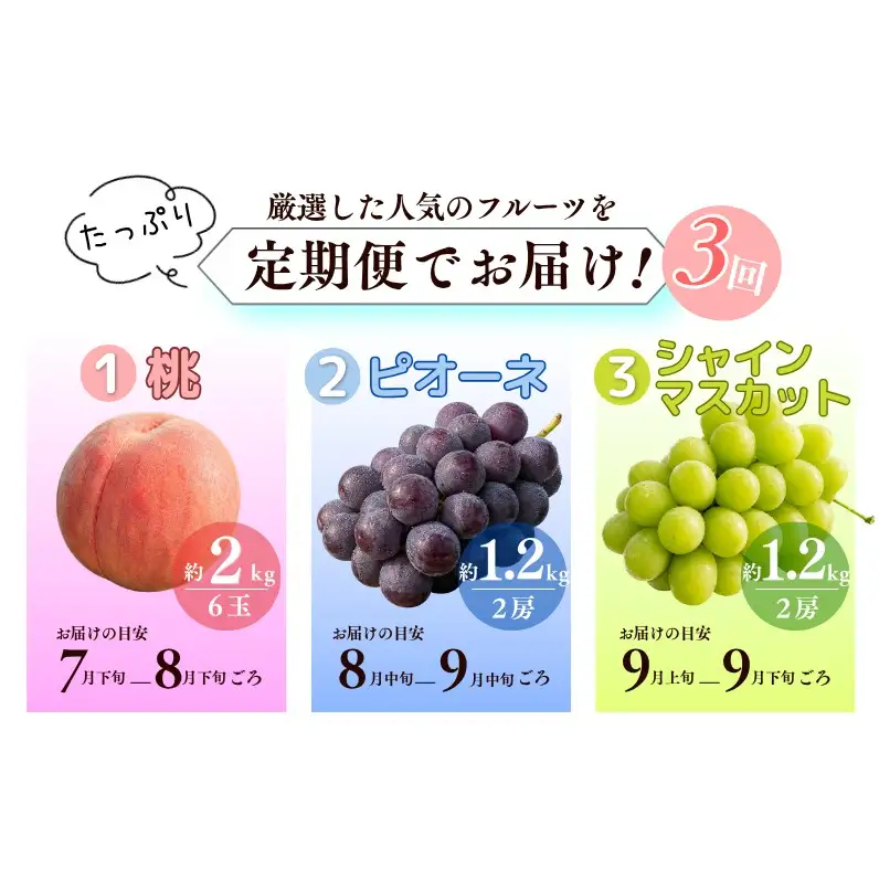 【たっぷり定期便】季節の果物 定期便 全3回 白桃・ピオーネ・シャインマスカット 【先行予約 2026年7月下旬から順次発送】