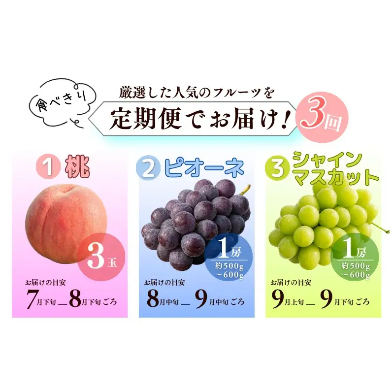 【食べきり定期便】季節の果物 定期便 全3回 白桃・ピオーネ・シャインマスカット 【先行予約 2026年7月下旬から順次発送】