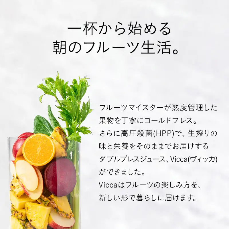 フルーツ専門店がつくる Viccaプレミアムフルーツ ダブルプレスジュース ディープブースト 280ml×6本 定期便2か月コース 果実本来の味わいを楽しむ 贅沢ジュース 冷蔵