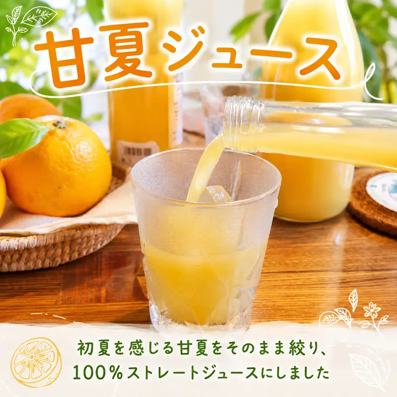 訳あり 河内晩柑 約 5kg サイズミックス 甘夏 ジュース 500ml 720ml 各1本 1.2L 2本 10000円 かわちばんかん ミカン mikan わけあり 愛南ゴールド 家庭用 ゴールド 美生柑 文旦 みかん あまなつ 夏みかん 家庭用 産地直送 国産 減農薬 数量限定 特産 お酒 焼酎 ジュース デザート 等に 果実 果肉 美味しい フルーツ 果物 柑橘 宮下明良 愛南町 愛媛県