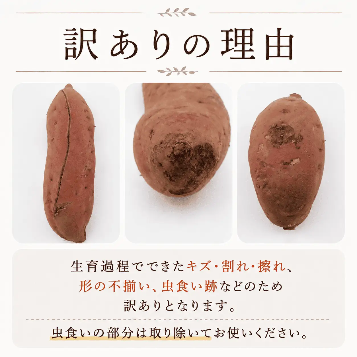 訳あり さつまいも 紅はるか 約8kg さつまいも