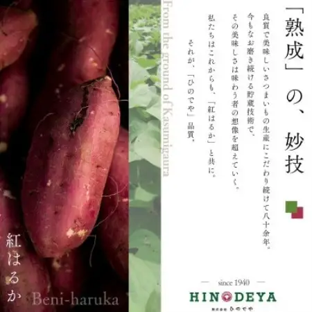 産地直送!生さつまいも「熟成紅はるか」調理しやすい小さめサイズ5kg【1748778】