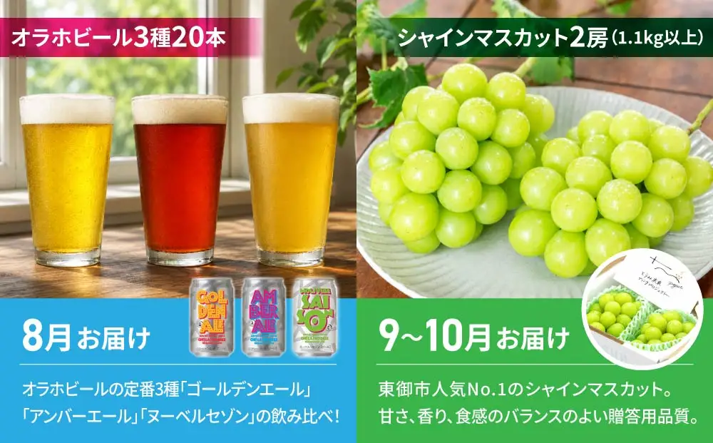 【2回定期便】シャインマスカットと地ビールの人気セット（シャインマスカット2房1.1kg以上とクラフトビール飲み比べ（3種20本））｜【JA信州うえだ／オラホビール】ぶどう 葡萄 大粒 果物 フルーツ 生食／ゴールデンエール・アンバーエール・ヌーベルセゾン 地ビール 頒布会 長野