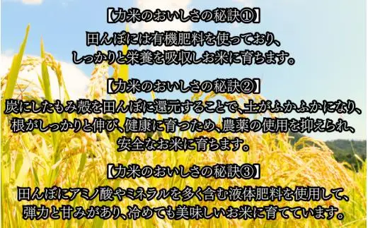 勝山の力米 ミルキークィーン 無洗米 2kg×2袋 ｜ 白米 米 お米 こめ コメ ライス ご飯 ごはん 贈り物 国産 仕送り お取り寄せ 産地直送 農家直送 数量限定 人気 おすすめ 【mwgk002-01】