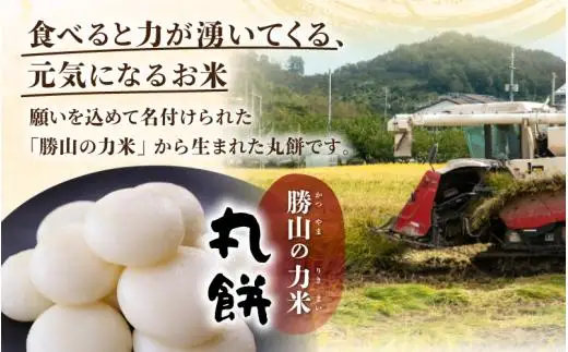 【岡山県真庭市】勝山の力米 丸餅 360g（約11個）×6袋 / 餅 もち 丸もち 個包装 食べ切りサイズ 長期保存 真庭産 ヒメノモチ ひめのもち 【mwgk004-01】