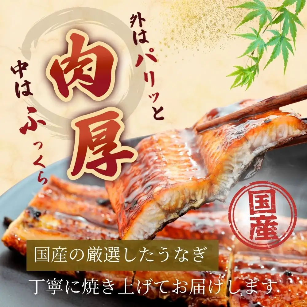 【国産うなぎ蒲焼】200g×2尾（合計400g）
