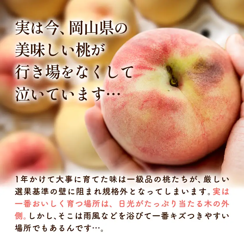 桃 訳あり お助け桃 約1.2kg
