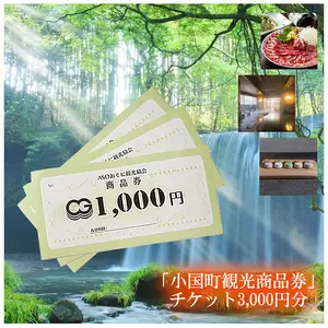 【ASOおぐに観光協会】小国の花火2026 観覧席（ペア席2名利用可）観光商品券3千円セット ゆったり スペース 花火が近い 撮影ブース チケット付き お土産 飲食 宿泊 利用可 夏の思い出 旅の思い出 残したい日本の風景 地域のお祭り 地域振興 旅行支援