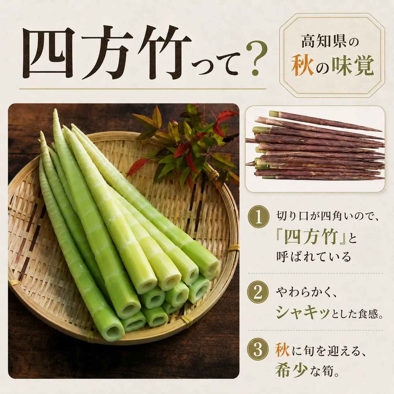 期間限定】 国産 四方竹 土佐煮 200g × 2袋 (2026年11月～発送