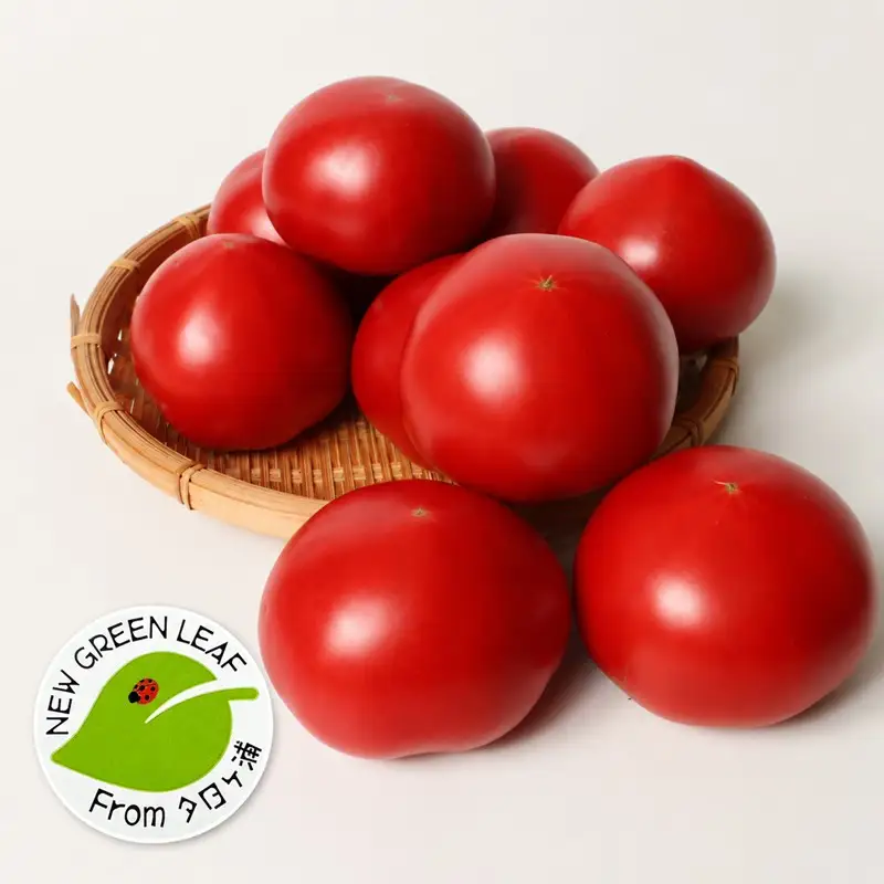 【収穫期限定】京都丹後産　完熟トマト　約1.4kg 京都丹後産 完熟トマト「麗旬」