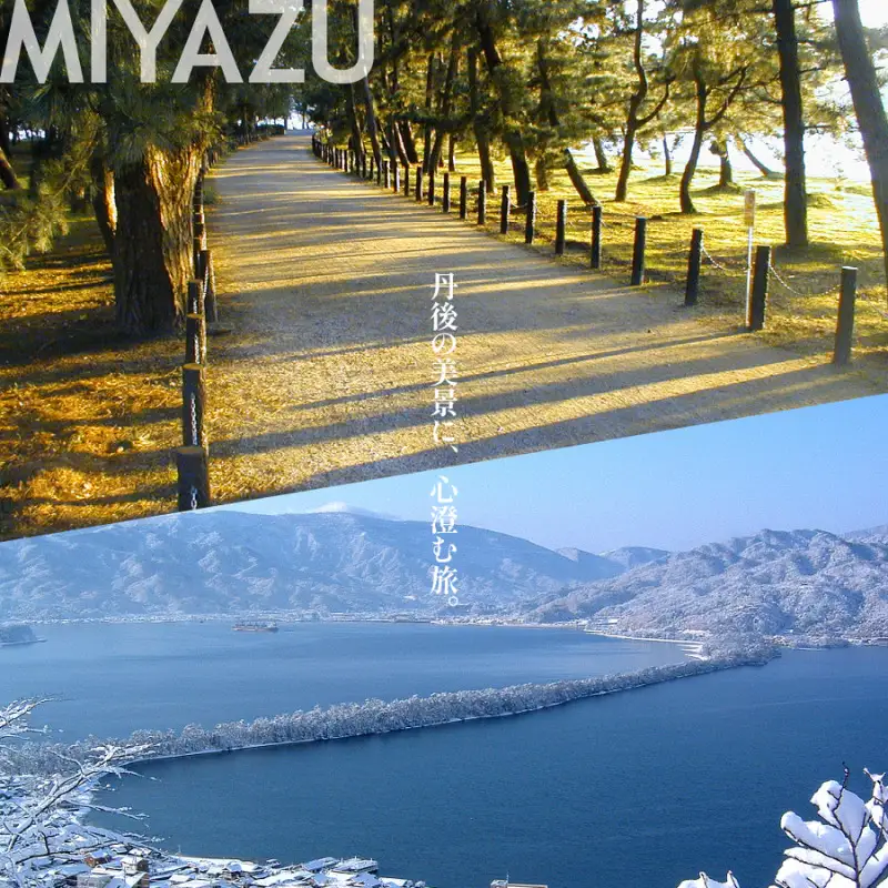 【京都ツアー】 宮津市 後から選べる旅行Webカタログで使える！旅行クーポン（300,000円分）碧海・松風・神話の地、天と地が繋がる旅へ。旅行券 宿泊券 飲食券 体験サービス券 myz00 myz11 myz15