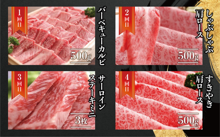 定期便 飛騨牛 "極" 全4回 肉 定期便