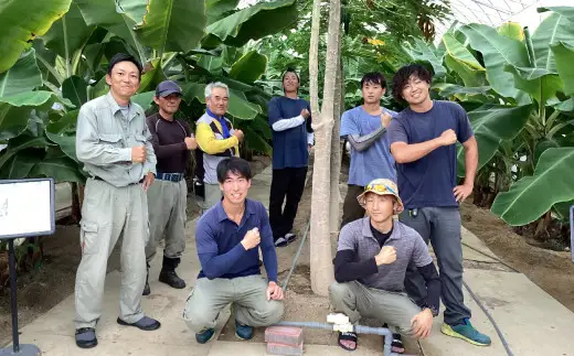【現地で体験】陸前高田市でブルーベリー摘み取り体験 大人1名様分
