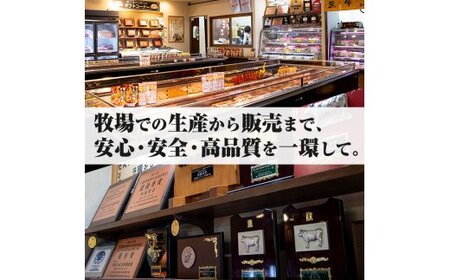 C-066 黒毛和牛ヒレステーキ約300g【きりしま畜産】ヒレステーキ 赤身ステーキ 牛肉 ステーキ 赤身 ステーキ肉 ステーキ牛肉 ヒレステーキ牛肉 ヒレ肉 牛 国産