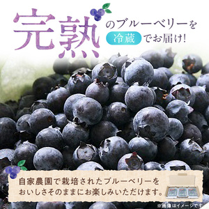 福岡県産 ブルーベリー生果 800g_ブルーベリー 生果 80g × 10パック 計 800g 直送 旬 完熟ブルーベリー アントシアニン 生の果物 使いやすい 腸内環境改善 個包装 冷凍保存 シャーベット アイス ヨーグルト アレンジ フルーツ デザート 果物 福岡県 久留米市 お取り寄せ 送料無料 〔Fx004〕