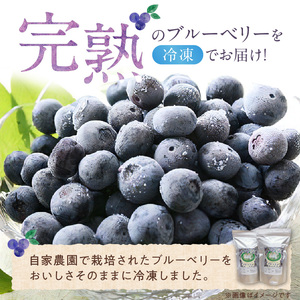冷凍ブルーベリー 1kg_冷凍 ブルーベリー １kg 完熟 自家農園 ミキサー アイス ヨーグルト シャーベット スムージー アントシアニン 疲れ目 腸内環境 国産 ジャム レシピ 冷凍フルーツ 果物 フルーツ お取り寄せ くだものお取り寄せ 福岡県 久留米市 送料無料 〔Fx005〕