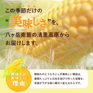 【2026年先行予約】北杜市産とうもろこし『味来（みらい）』朝採り直送13本セット [h019]
