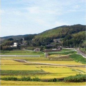 田舎暮らし体験(体験交流型メニュー)【I8-002】