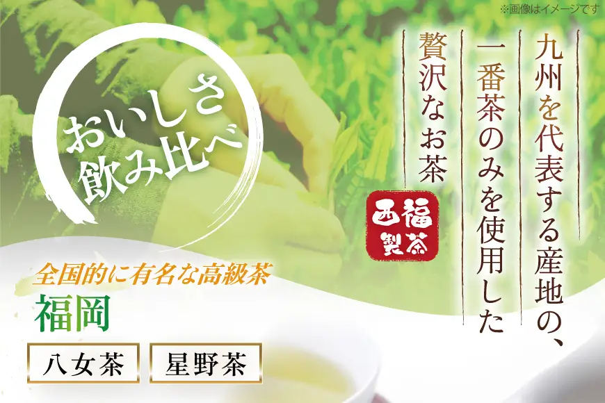 緑茶 飲み比べ 九州 一番摘み 銘茶 5種 各2本 [um40azo790004] お茶