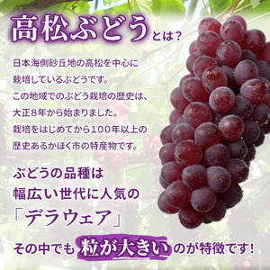 【先行予約 2026年収穫分】高松ぶどう デラウェア 約2kg入り（およそ9～10房） 1箱【配送不可地域：北海道・沖縄県・離島】｜ぶどう フルーツ 果物