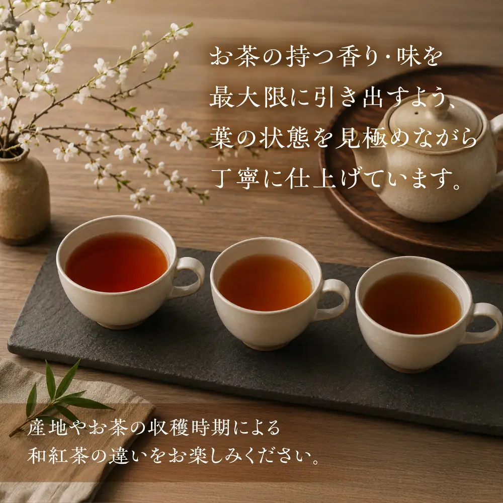 和紅茶3種 べにふうき 一番茶 ダージリン系 奥飛騨 国産茶葉 BU019