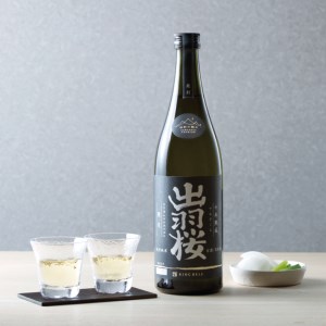 山形の極み 出羽桜酒造 特別純米古酒10年熟成 F2Y-0492