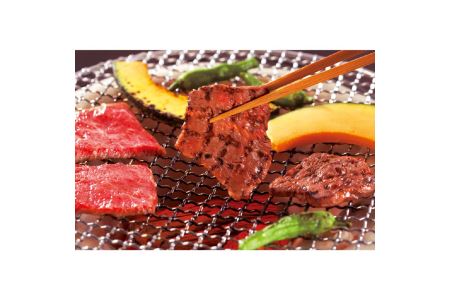 山形牛 焼肉用 F2Y-0537
