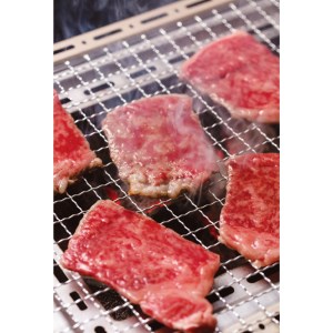 山形牛 焼肉用 F2Y-0553
