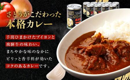 飛騨牛 入り カレー 10缶 キッチン飛騨 監修 さとうオリジナル ビーフ
