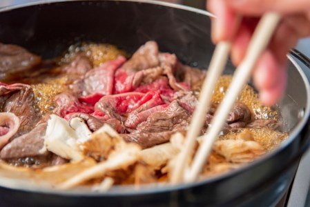 【矢野畜産】産地直送 詰め合わせAセット 切り落とし 500g 赤身 プレミアムハンバーグ 150g 5個 くまもと 国産 熊本 阿蘇 和牛 あか牛 褐毛和種 あかげわしゅ 矢野畜産 にくやの 老舗 おうちごはん おうち時間 通販 贈答 ギフト 阿蘇の自然の宝物