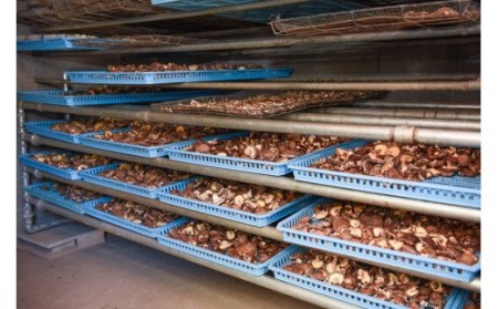 【地熱の里 坂本農園】地熱乾燥 原木椎茸 30g 4袋 計120g 阿蘇 熊本 小国郷 小国産 原木しいたけ 乾燥しいたけ 椎茸 ドライ わいた温泉郷 SDGｓ 常温保管 ご自宅用 贈り物 プレゼント