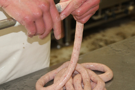 【デュッセル】令和8年6月出荷 手作りハム ソーセージ 5種 おまかせ詰め合わせ チューリンガーグリル チーズグリラー コッホシケン クラカウアー ソーセージ 先行予約 熊本 阿蘇 小国町 わいた 山川 マイスター 職人 ドイツ 本場の手法