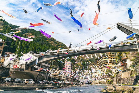 【杖立温泉観光協会】先行予約 令和9年度 受付開始 鯉のぼり 名入れ 掲揚権 熊本 阿蘇 杖立温泉 鯉のぼり祭 お子様 お孫様 端午の節句 特別な贈り物 年に一度 期間限定 イベント 映えスポット（杖立温泉鯉のぼり祭）