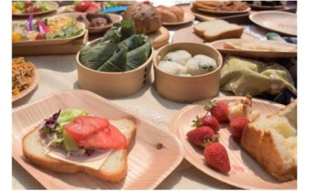 【小国町森林組合】阿蘇小国杉 ウッドトレイ ソーサ― 10枚 丸型 角型 各5枚 小国杉 国産材 天然木 SDGs 国産 小国町 阿蘇 熊本 木製 食器 什器 キャンプ BBQ バーベキュー 10枚 贈り物 ギフト プレゼント 阿蘇小国杉のくらし