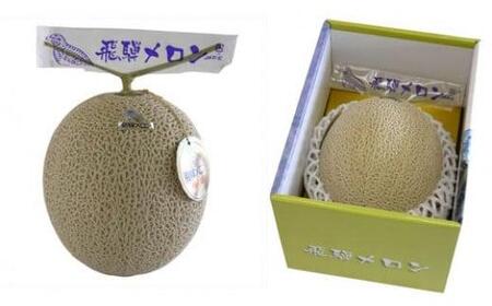 メロン 飛騨メロン 約1.5kg 化粧箱入 7月中旬～8月上旬発送 CY032-26-CP01 FN-Limited-PR