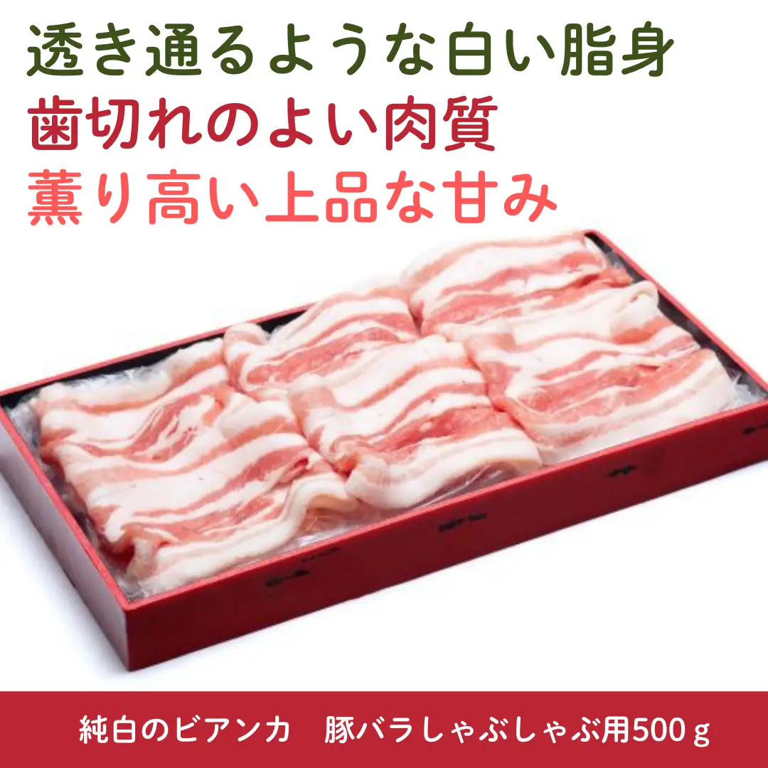 純白のビアンカ 豚バラしゃぶしゃぶ用 500g 豚肉 ぶた ぶた肉 肉 お肉 国産 冷凍 箱入り のし 贈答 ギフト プレゼント お中元 お歳暮 父の日 母の日 敬老の日 鍋 すき焼き 蒸し 新鮮 新潟県 阿賀野市 1D02008