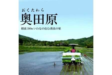安来のお米【定期便】こりゃう米（まい）玄米 5kg×3回（隔月） 令和7年産 コシヒカリ