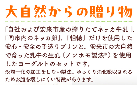 わたなべ牧場のヨーグルト・プリンセット【ヨーグルト24個・プリン12個】/ スプーン付き ヨーグルト 手造りプリン 詰合せ セット しぼりたて 化学合成物質不使用 こだわり 甘み 蒸しプリン 島根県 安来市