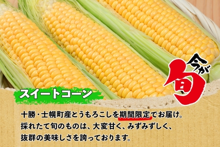 《期間限定》北海道 士幌産  とうもろこし  12本  (2026年8月上旬～発送開始予定) 約5kg スイートコーン 採れたて コーン 期間限定 新鮮 野菜 産地直送 産直 お取り寄せ 送料無料 十勝 士幌町【V02】
